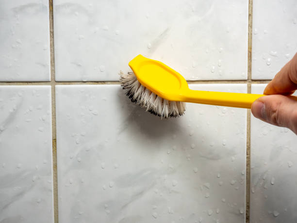 Best Bathroom Mold Remediation in Delcambre, LA