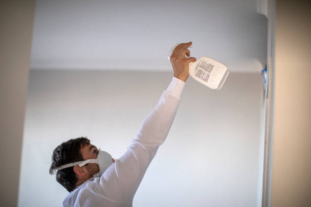 Best Industrial Mold Remediation in Delcambre, LA