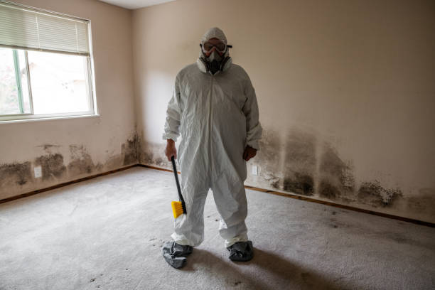 Delcambre, LA Mold Remediation Company